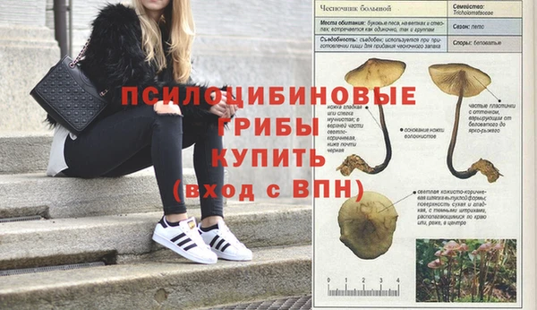 крисы Карпинск