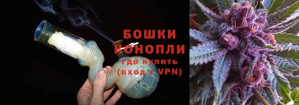 крисы Карпинск