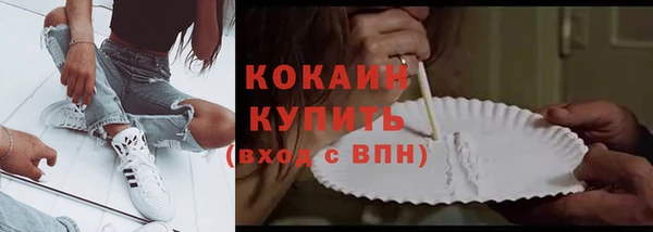 крисы Карпинск