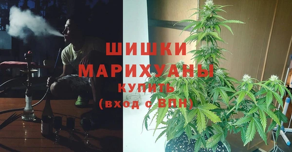 крисы Карпинск