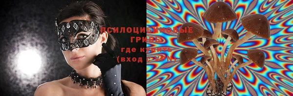 крисы Карпинск