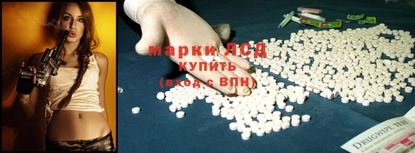 крисы Карпинск