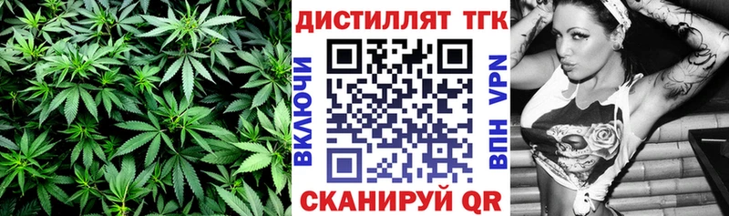 Купить где Дигора ТГК гашишное масло